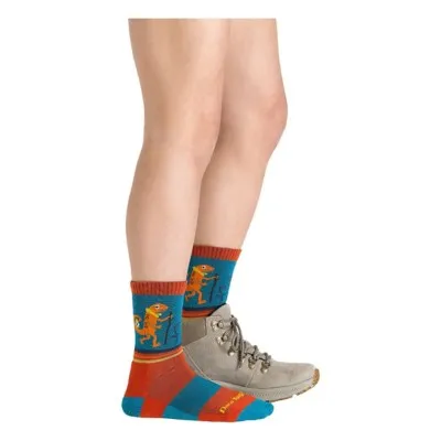 Youth Darn Tough Kids' Lightweight Micro Crew Hiking Socks