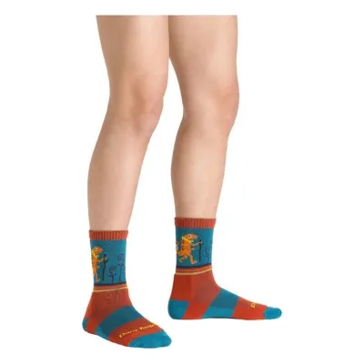 Youth Darn Tough Kids' Lightweight Micro Crew Hiking Socks